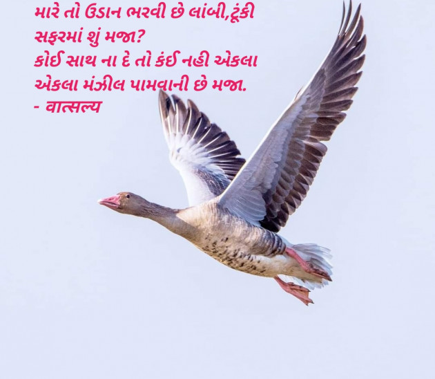 Gujarati Shayri by वात्सल्य : 111915236