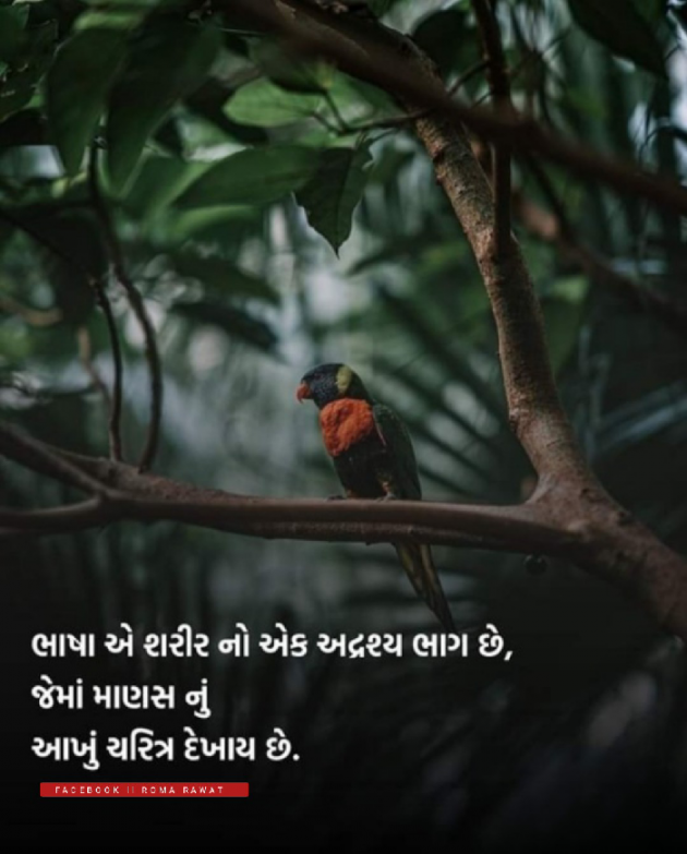 Gujarati Thought by Roma Rawat : 111915285