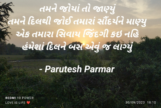 Gujarati Shayri by Hitesh Parmar : 111915588