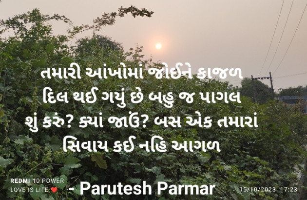 Gujarati Shayri by Hitesh Parmar : 111915591