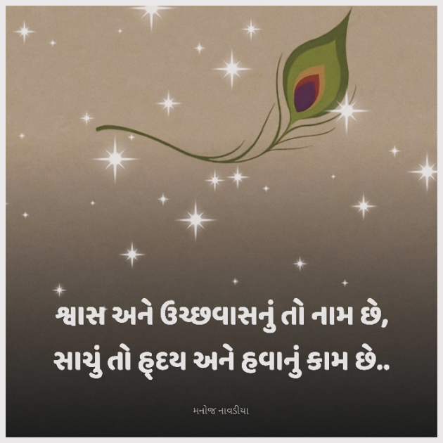 Gujarati Motivational by મનોજ નાવડીયા : 111915749