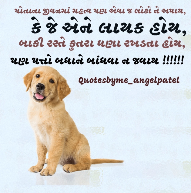 Gujarati Quotes by Ankita Patel : 111915907