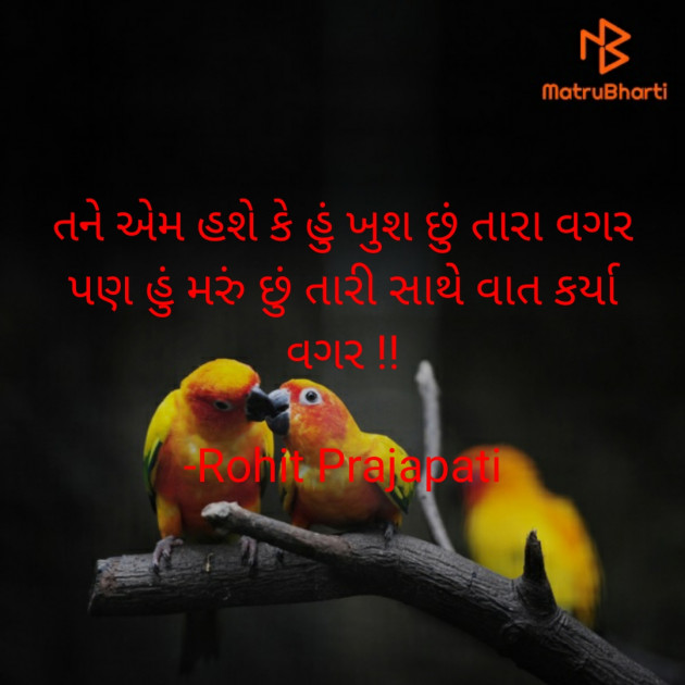 Gujarati Shayri by Rohit Prajapati : 111916173