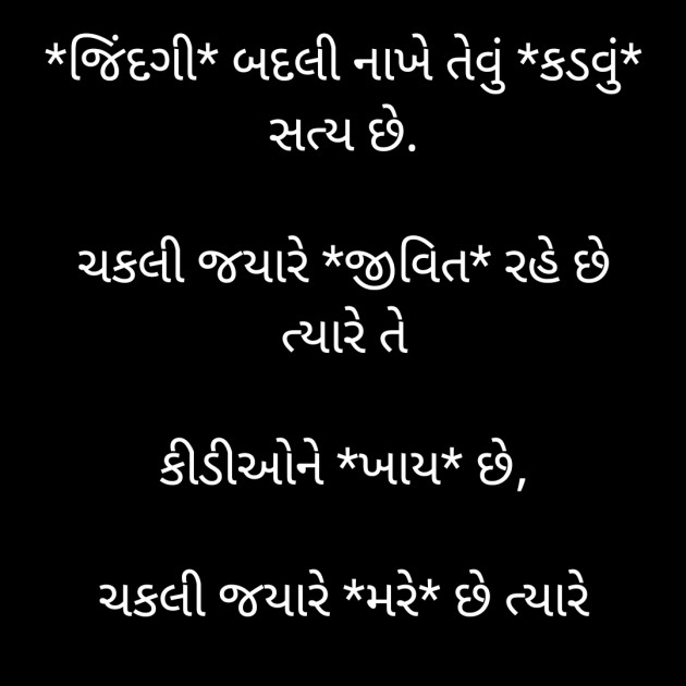 Gujarati Motivational by Megha : 111916206