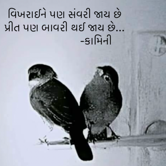 Gujarati Poem by Kamini Shah : 111916408