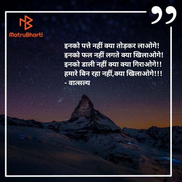 Hindi Motivational by वात्सल्य : 111916480