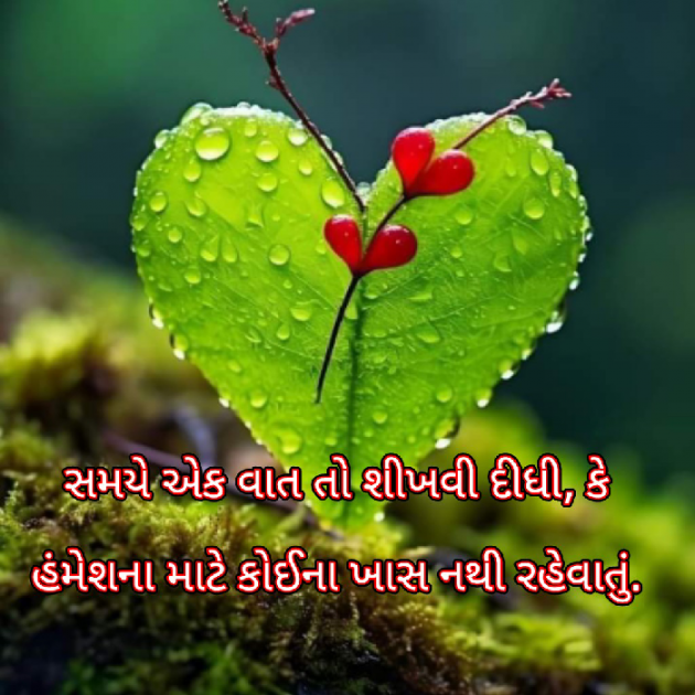 Gujarati Blog by Bhavna Bhatt : 111916556