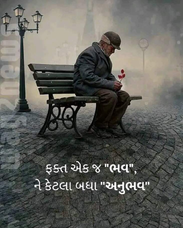 Gujarati Good Morning by Mona Ghelani : 111916839