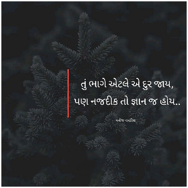 Gujarati Motivational by મનોજ નાવડીયા : 111916954