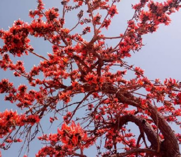 Gujarati Poem by वात्सल्य : 111917019