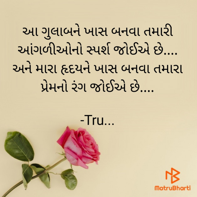 Gujarati Whatsapp-Status by Tru... : 111917110