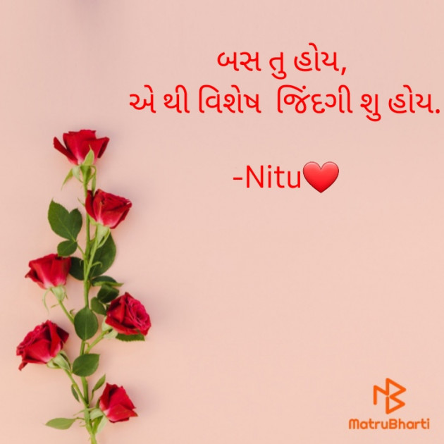 Gujarati Romance by Nitu : 111917113