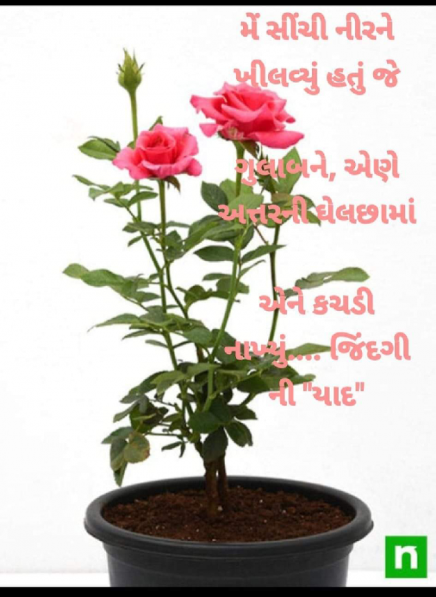 Gujarati Whatsapp-Status by Ajit : 111917163