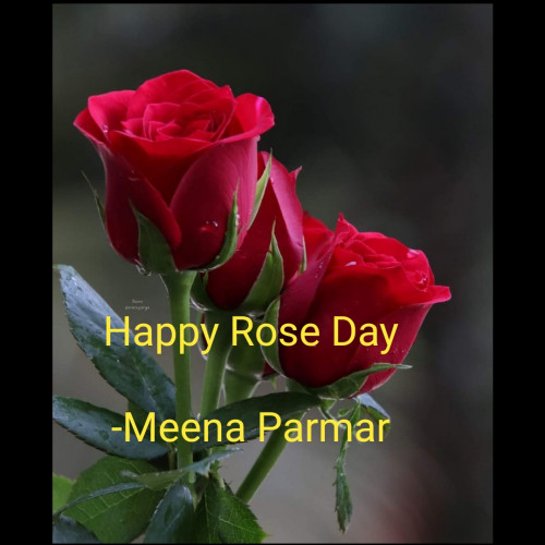 Post by Meena Parmar on 07-Feb-2024 09:53am