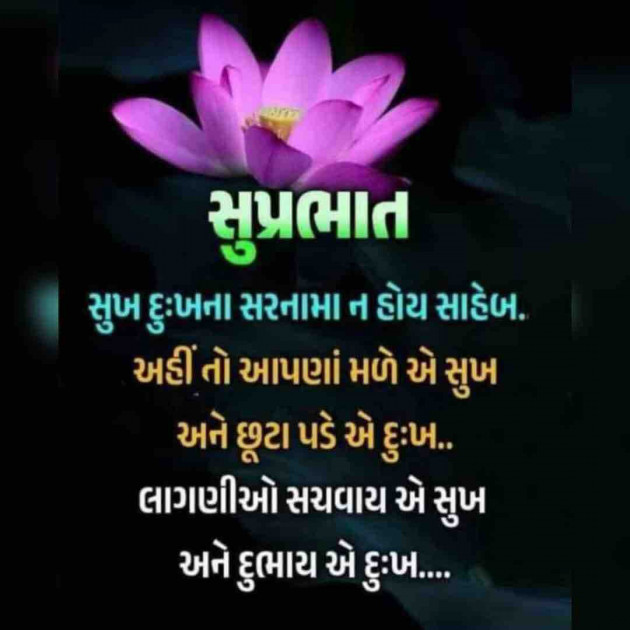 Gujarati Motivational by shah : 111917358