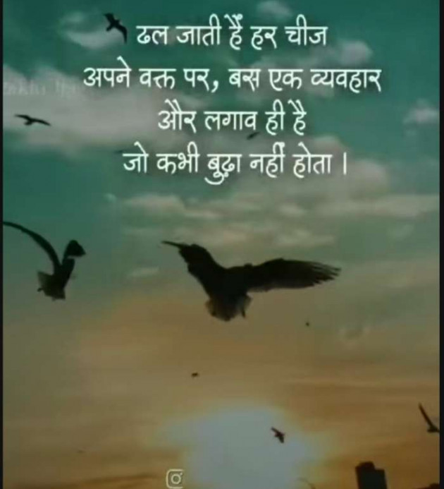 Gujarati Whatsapp-Status by Zala Jayvirsinh : 111918366