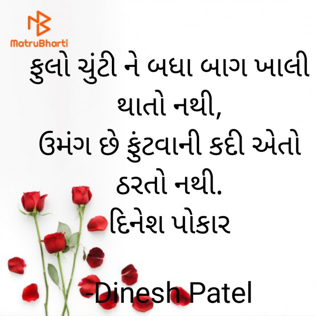 Gujarati Shayri by Dinesh Patel : 111918402