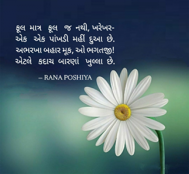 Gujarati Shayri by R G POSHIYA : 111918529