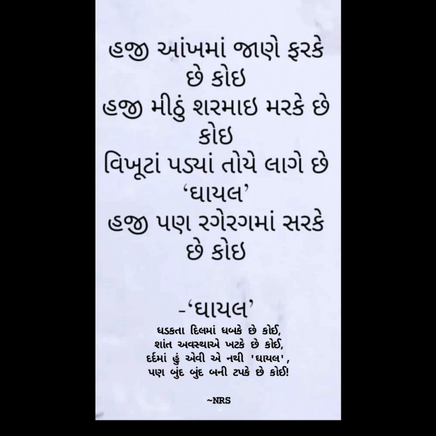 Gujarati Shayri by Nency R. Solanki : 111918749