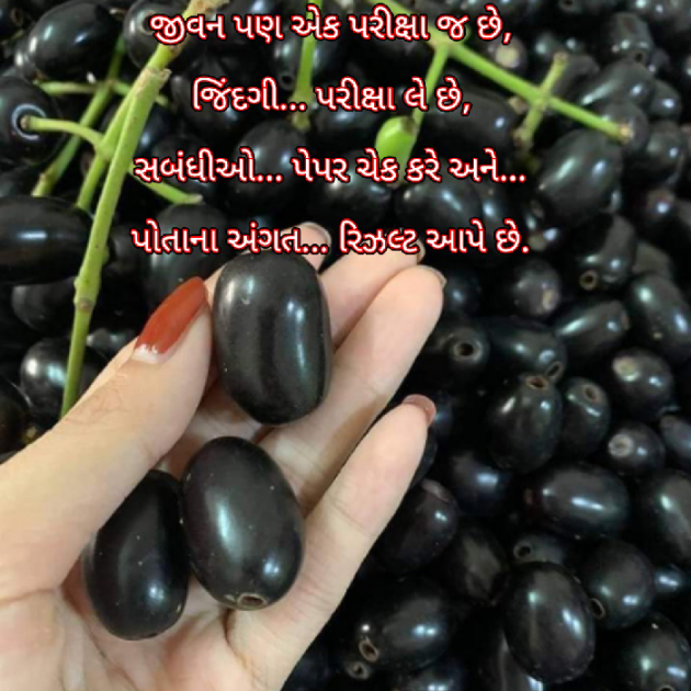 Gujarati Blog by Bhavna Bhatt : 111918961