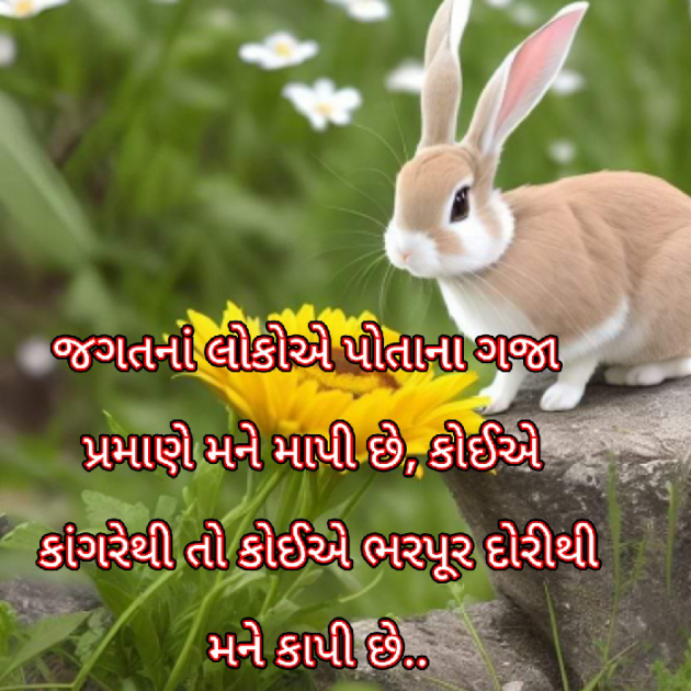 Gujarati Blog by Bhavna Bhatt : 111919096