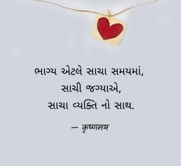 Gujarati Whatsapp-Status by Zala Jayvirsinh : 111919397