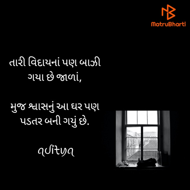 Gujarati Shayri by ꪖᦔỉᡶꪗꪖ : 111919573