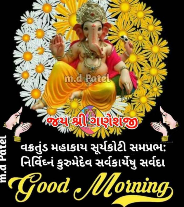 Gujarati Whatsapp-Status by Zala Jayvirsinh : 111919888