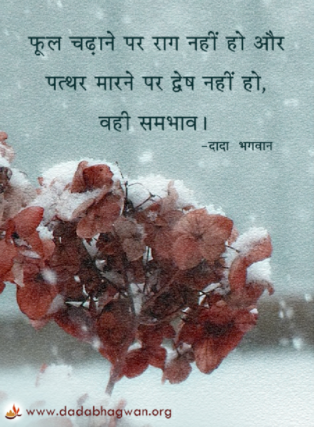 Hindi Quotes by Dada Bhagwan : 111919926