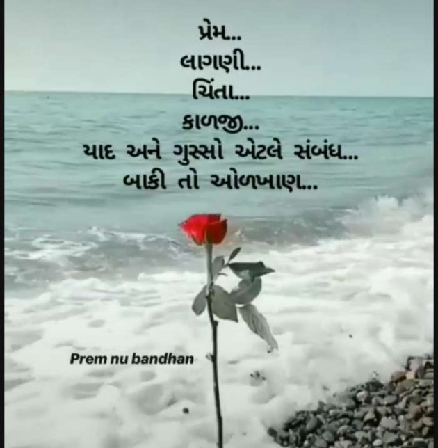 Gujarati Whatsapp-Status by Zala Jayvirsinh : 111919976