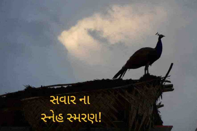 Gujarati Whatsapp-Status by shah : 111920032