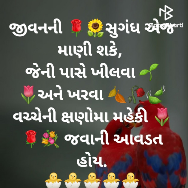 Gujarati Whatsapp-Status by jighnasa solanki : 111920209