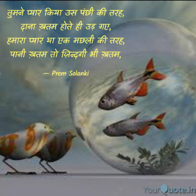 English Shayri by Prem Solanki : 111920373