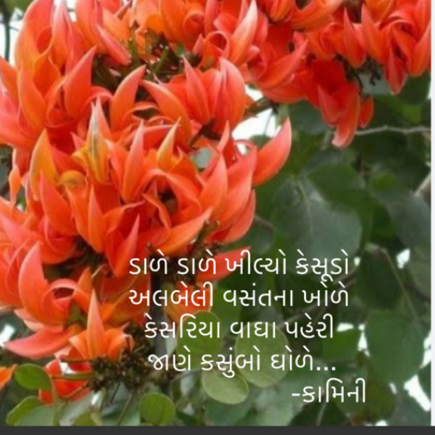 Gujarati Poem by Kamini Shah : 111920491