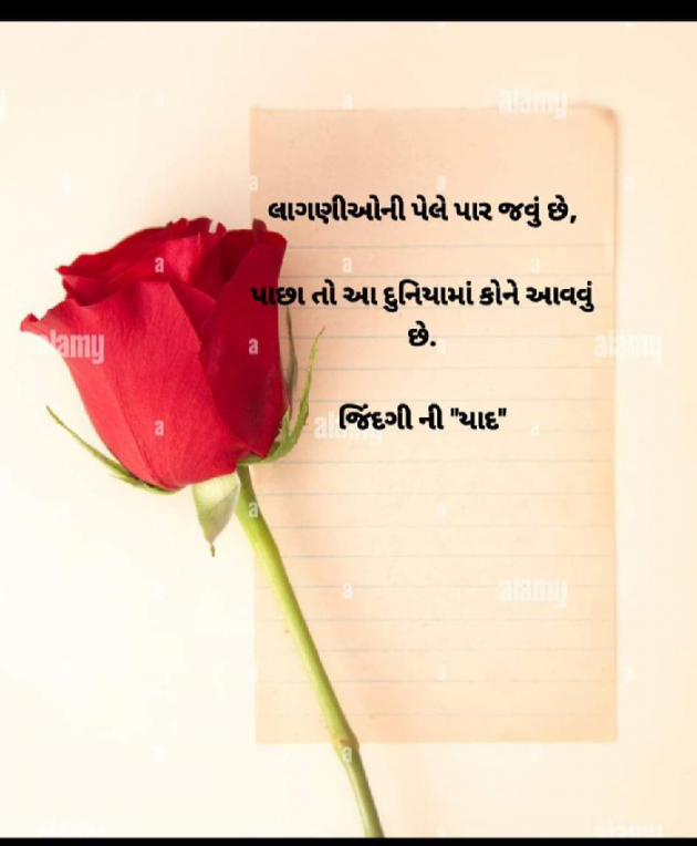 Gujarati Whatsapp-Status by Ajit : 111920493