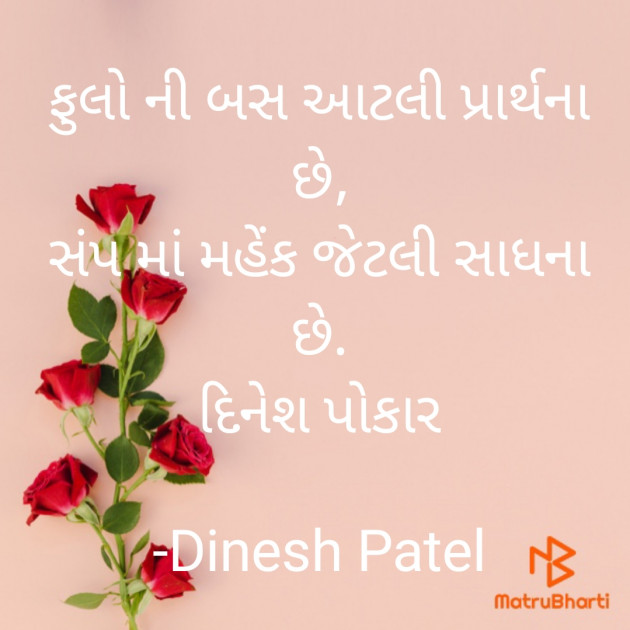Gujarati Shayri by Dinesh Patel : 111920617