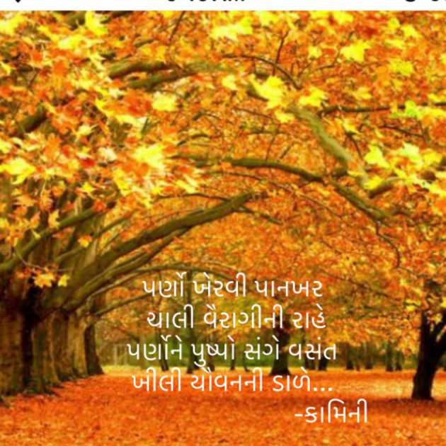 Gujarati Poem by Kamini Shah : 111920635