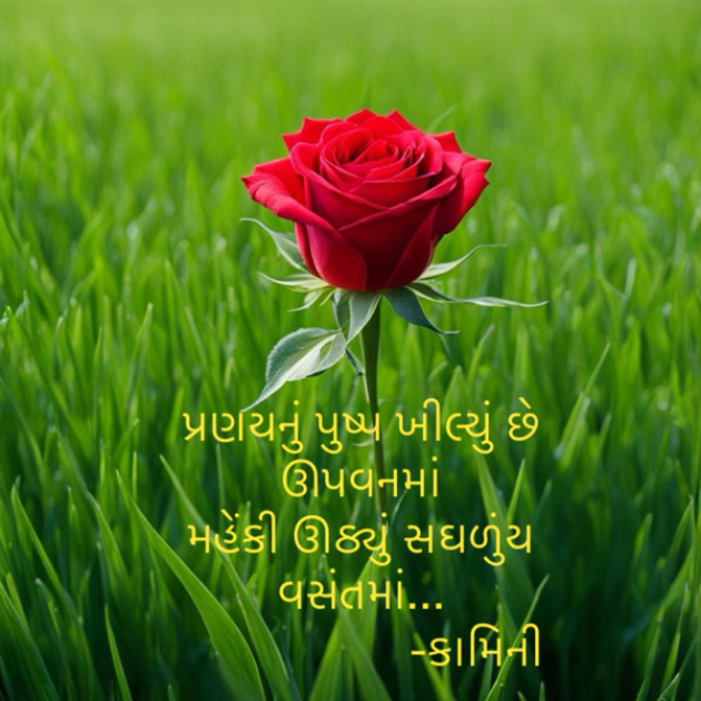 Gujarati Poem by Kamini Shah : 111921073