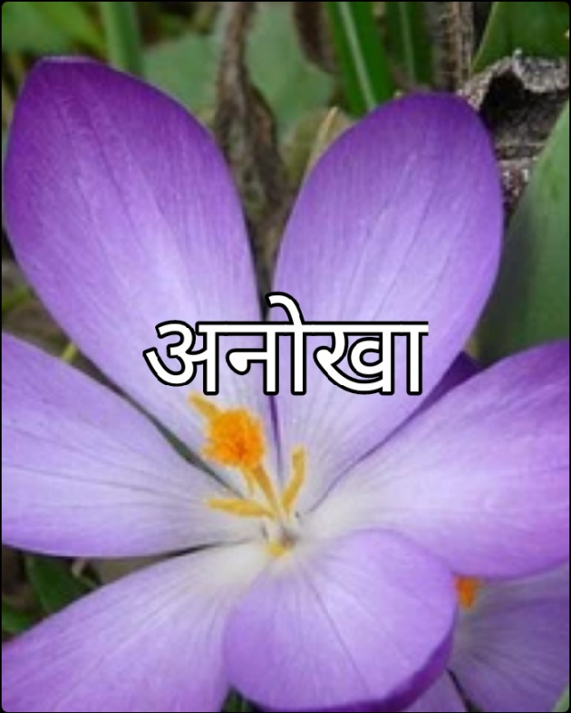 Hindi Motivational by Manjibhai Bavaliya મનરવ : 111921167