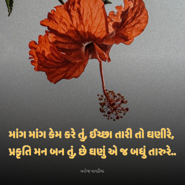 Gujarati Motivational by મનોજ નાવડીયા : 111921182