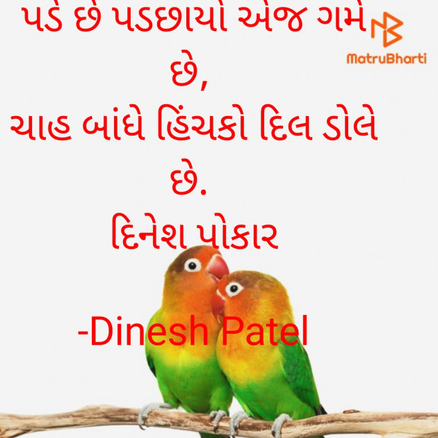 Gujarati Shayri by Dinesh Patel : 111921590