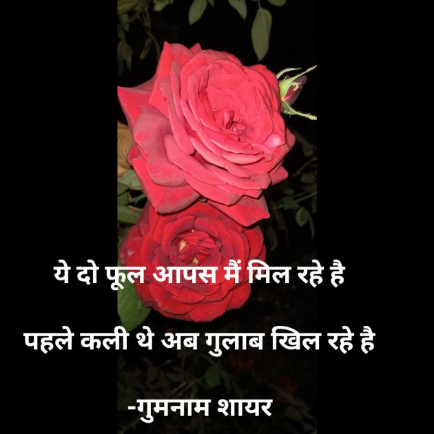 Hindi Shayri by गुमनाम शायर : 111921964
