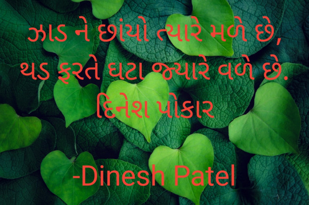 Gujarati Shayri by Dinesh Patel : 111922014