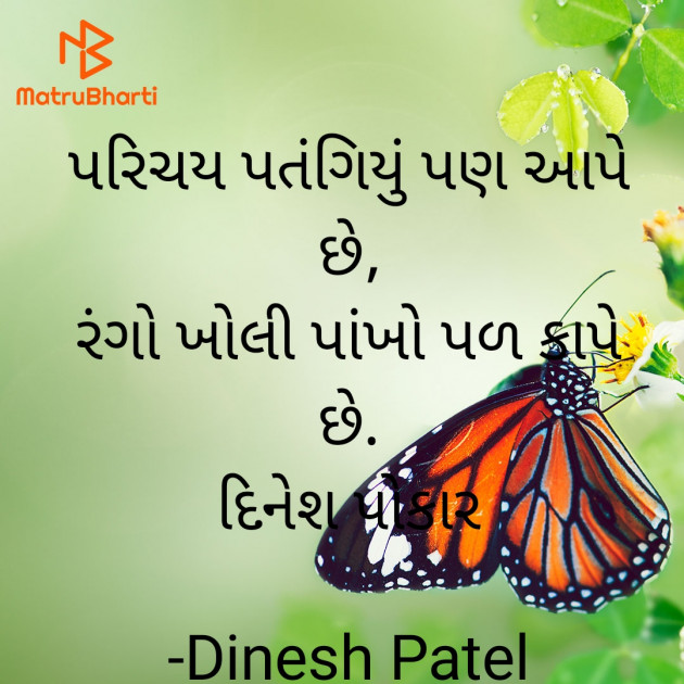 Gujarati Shayri by Dinesh Patel : 111922158