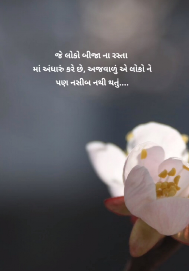 Gujarati Blog by Jigna Pandya : 111922214