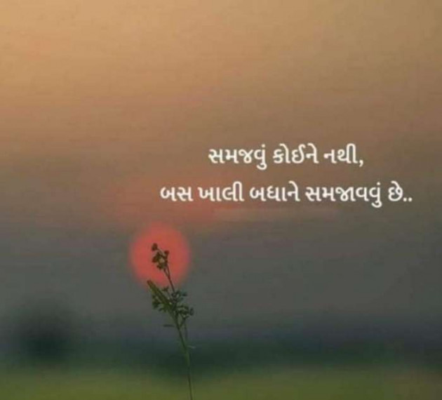 Gujarati Whatsapp-Status by Zala Jayvirsinh : 111922437