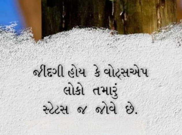 Gujarati Whatsapp-Status by Zala Jayvirsinh : 111922438