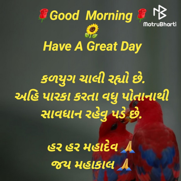 Gujarati Whatsapp-Status by jighnasa solanki : 111922454