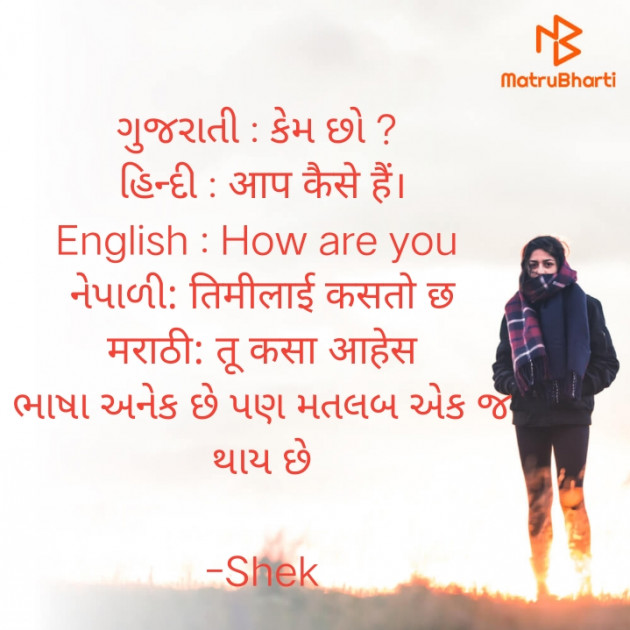 Gujarati Blog by Shek _ અેક મુનાસિબ : 111922598