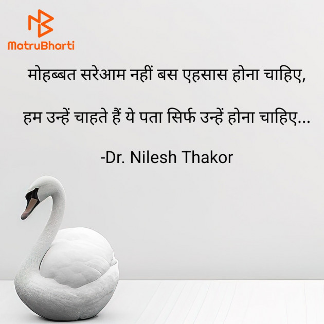 Hindi Shayri by Dr. Nilesh Thakor : 111922726